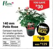 Builders Warehouse Flora 140mm Patio Rose 657786 offer