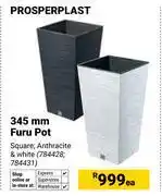 Builders Warehouse Prosperplast 345mm Furu Pot 784428, 784431-Each offer