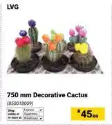 Builders Warehouse LVG 750mm Decorative Cactus 850018009-Each offer
