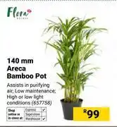 Builders Warehouse Flora 140mm Areca Bamboo Pot 657758 offer
