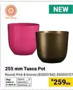 Builders Warehouse Prosperplast 255mm Tusca Pot 850031042, 850030727-Each offer