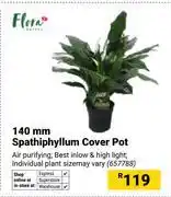 Builders Warehouse Flora 140mm Spathiphyllum Cover Pot 657788 offer