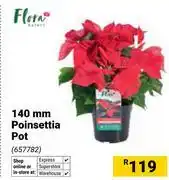 Builders Warehouse Flora 140mm Poinsettia Pot 657782 offer