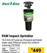Builders Warehouse Rainbird Paw Impact Sprinkler (757265) offer
