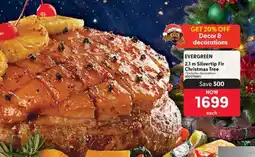 Makro EVERGREEN 2.1 m Silvertip Fir Christmas Tree offer