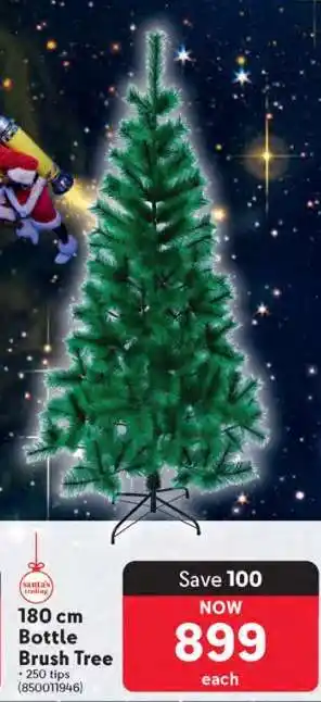 Makro 180 cm Bottle Brush Tree offer