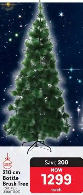 Makro 210 cm Bottle Brush Tree offer