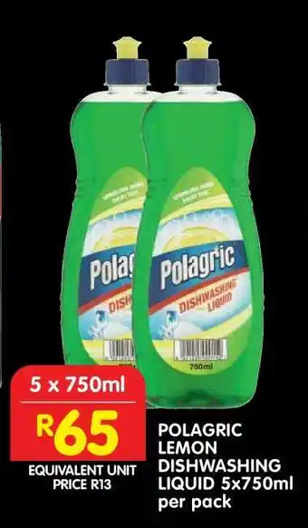 Shoprite POLAGRIC LEMON DISHWASHING LIQUID 5x750ml per pack offer