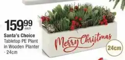 Checkers Hyper Santa's Choice Tabletop PE Plant in Wooden Planter offer