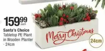 Checkers Hyper Santa's Choice Tabletop PE Plant in Wooden Planter offer