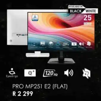 Computer Mania MSI Pro MP251 E2 Flat offer