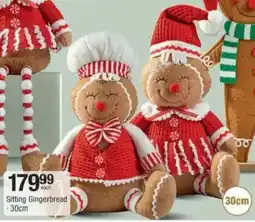 Checkers Hyper Sitting Gingerbread offer