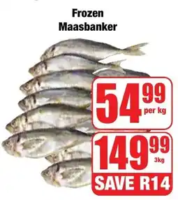Boxer Superstores Frozen Maasbanker offer