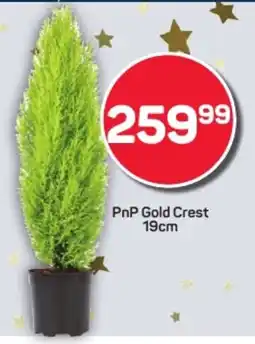 Pick n Pay Hypermarket PnP Gold Crest offer