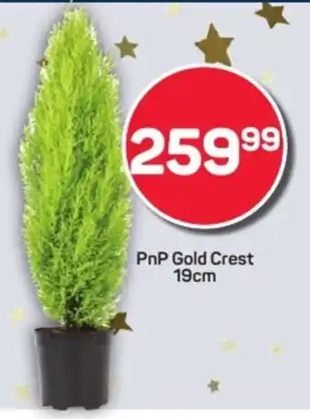 Pick n Pay Hypermarket PnP Gold Crest offer