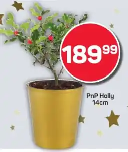 Pick n Pay Hypermarket PnP Holly offer