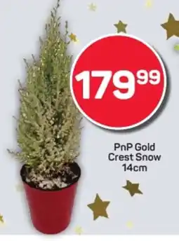 Pick n Pay Hypermarket PnP Gold Crest Snow offer