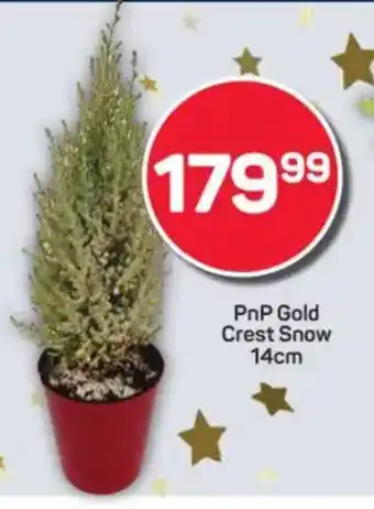 Pick n Pay PnP Gold Crest Snow offer