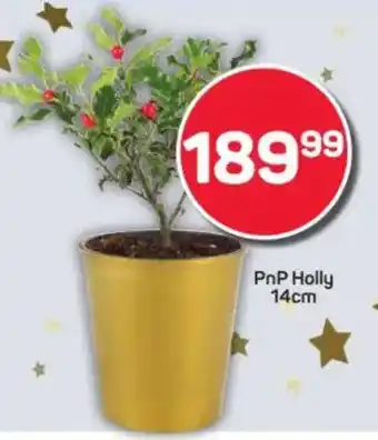 Pick n Pay PnP Holly offer