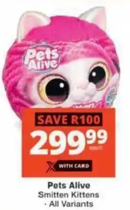 Checkers Hyper Pets Alive Smitten Kittens offer