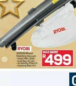 Pick n Pay Hypermarket Ryobi blower offer