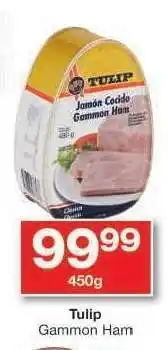 Checkers Tulip Gammon Ham offer