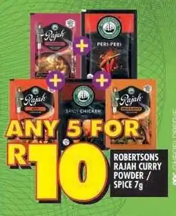 Shoprite ROBERTSONS RAJAH CURRY POWDER / SPICE 7g offer
