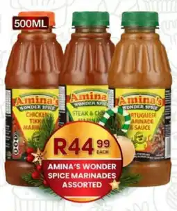 Take 'n Pay Amina's wonder spice marinades assorted offer