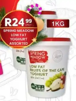 Take 'n Pay Spring meadow low fat yoghurt assorted offer