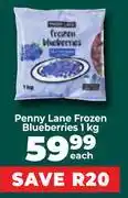 Food Lover's Market Penny Lane Frozen Blueberries-1kg offer