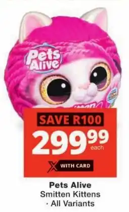 Checkers Pets Alive Smitten Kittens offer