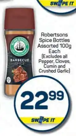 Pick n Pay Robertsons Spice Bottles Assorted 100g Each offer