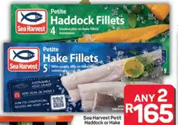 Pick n Pay Hypermarket Sea Harvest Petite Haddock or Hake Fillets offer