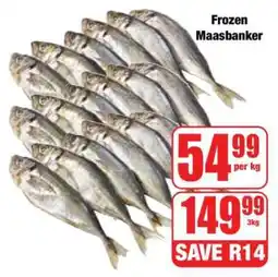 Boxer Frozen Maasbanker offer