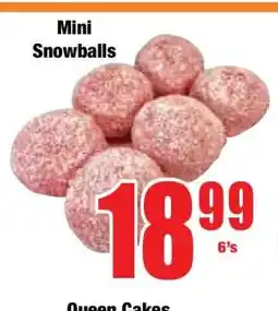 Boxer Mini Snowballs offer