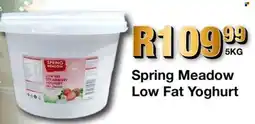 Take 'n Pay Spring Meadow Low Fat Yoghurt offer
