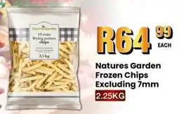 Take 'n Pay Natures Garden Frozen Chips offer