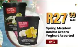 Take 'n Pay Spring Meadow Double Cream Yoghurt Assorted offer