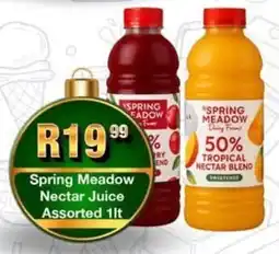 Take 'n Pay Spring Meadow Nectar Juice Assorted offer