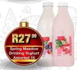 Take 'n Pay Spring Meadow Drinking Yoghurt Assorted offer