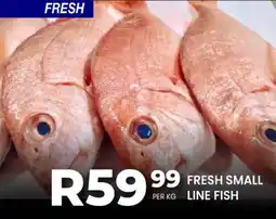 Take 'n Pay Fresh small line fish offer