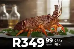 Take 'n Pay Cray fish offer