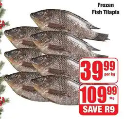 Boxer Superstores Frozen Fish Tilapia offer
