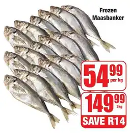 Boxer Superstores Frozen Maasbanker offer