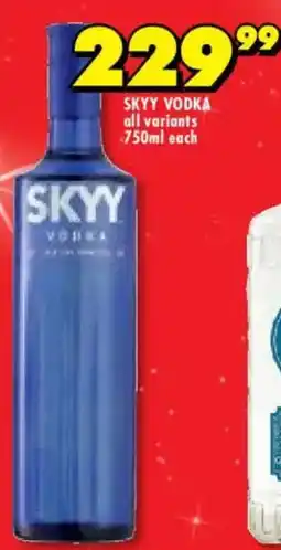Shoprite Liquor Skyy vodka offer