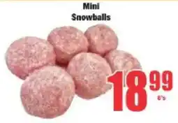 Boxer Mini Snowballs offer