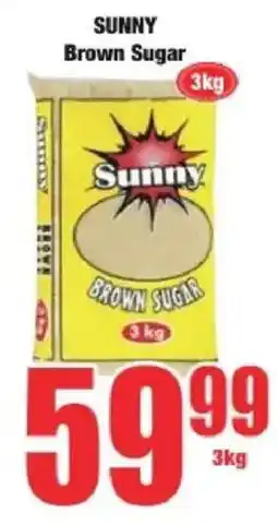 Boxer SUNNY Brown Sugar offer