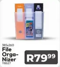 Crazy Plastics File Organizer offer