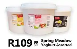 Take 'n Pay Spring Meadow Yoghurt Assorted offer
