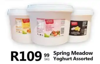 Take 'n Pay Spring Meadow Yoghurt Assorted offer